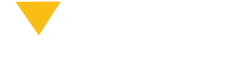 ThinkVE